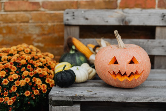 How To Have A Happy Halloween This Year