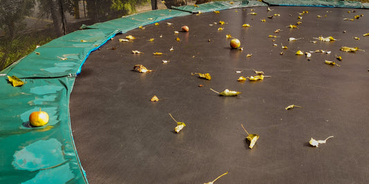 Autumn Trampoline Care