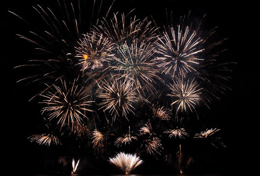 Fun Ways To Celebrate The New Year!