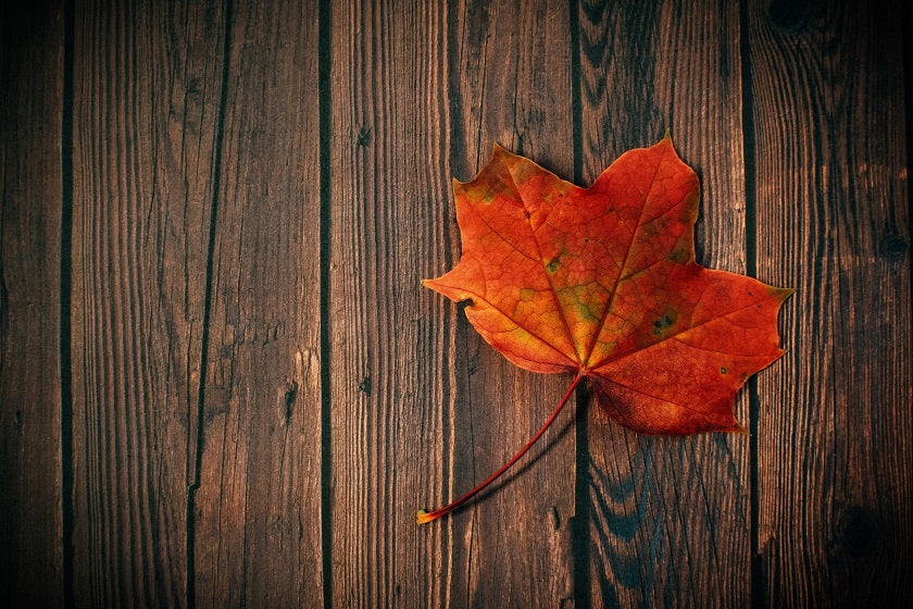 Five Healthy Autumn Activities